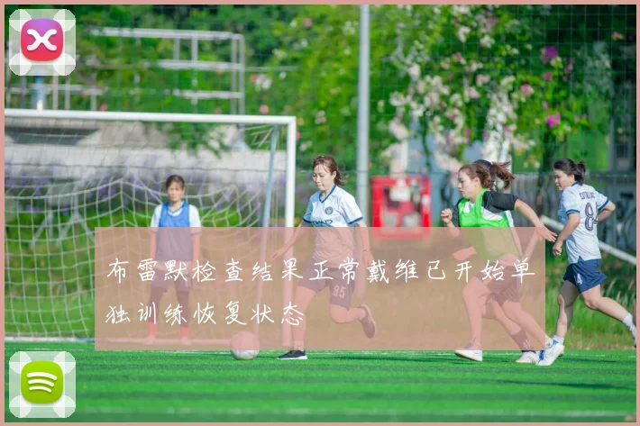 布雷默检查结果正常戴维已开始单独训练恢复状态