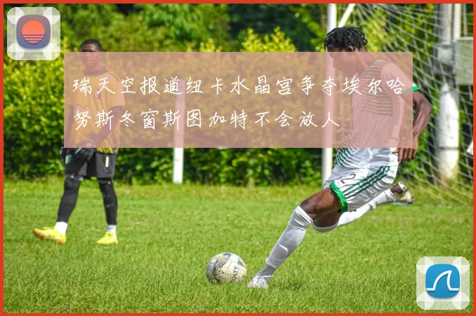 瑞天空报道纽卡水晶宫争夺埃尔哈努斯冬窗斯图加特不会放人